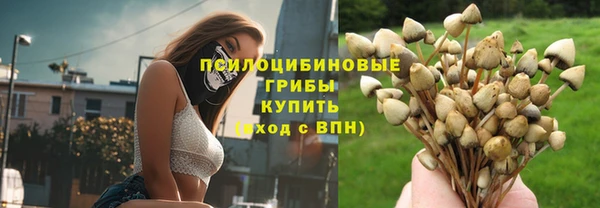 герыч Мегион