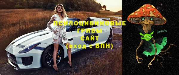 герыч Мегион